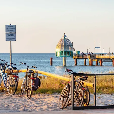 Seepferdchen An Der Seebruecke * Zingst