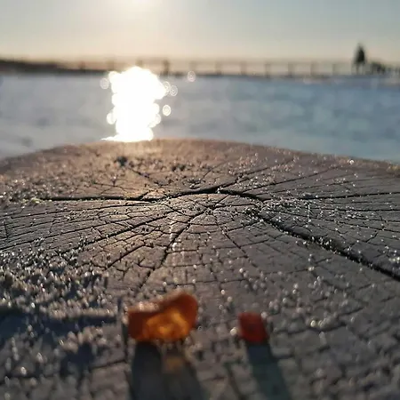 Seepferdchen An Der Seebruecke Appartamento Zingst