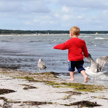 Apartment Seepferdchen An Der Seebruecke Zingst