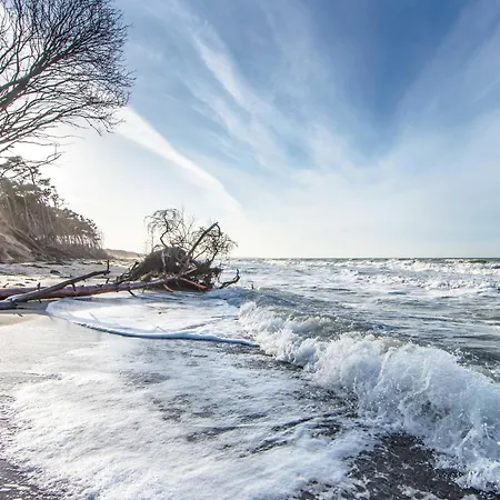 Seepferdchen An Der Seebruecke Daire Zingst