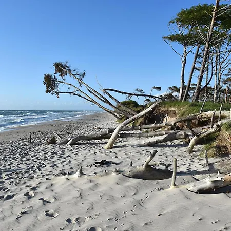 Seepferdchen An Der Seebruecke Appartamento *