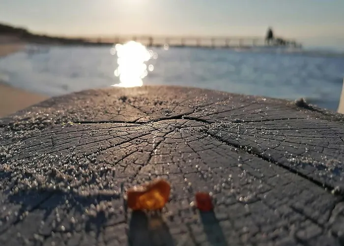 Seepferdchen An Der Seebruecke Lägenhet Zingst