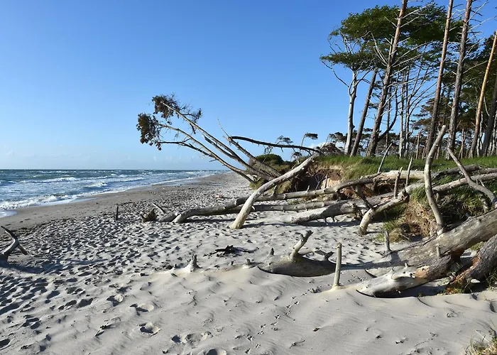 Seepferdchen An Der Seebruecke Lägenhet *