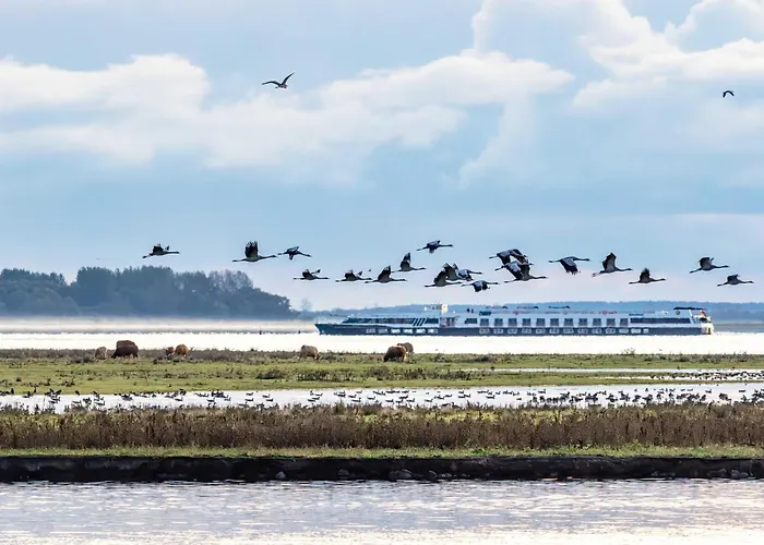 Lägenhet Seepferdchen An Der Seebruecke *