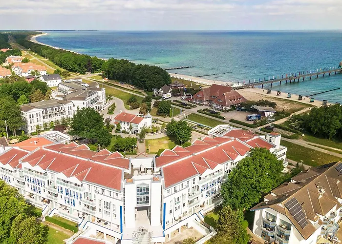 Seepferdchen An Der Seebruecke *